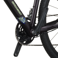 Bergamont Grandurance 30